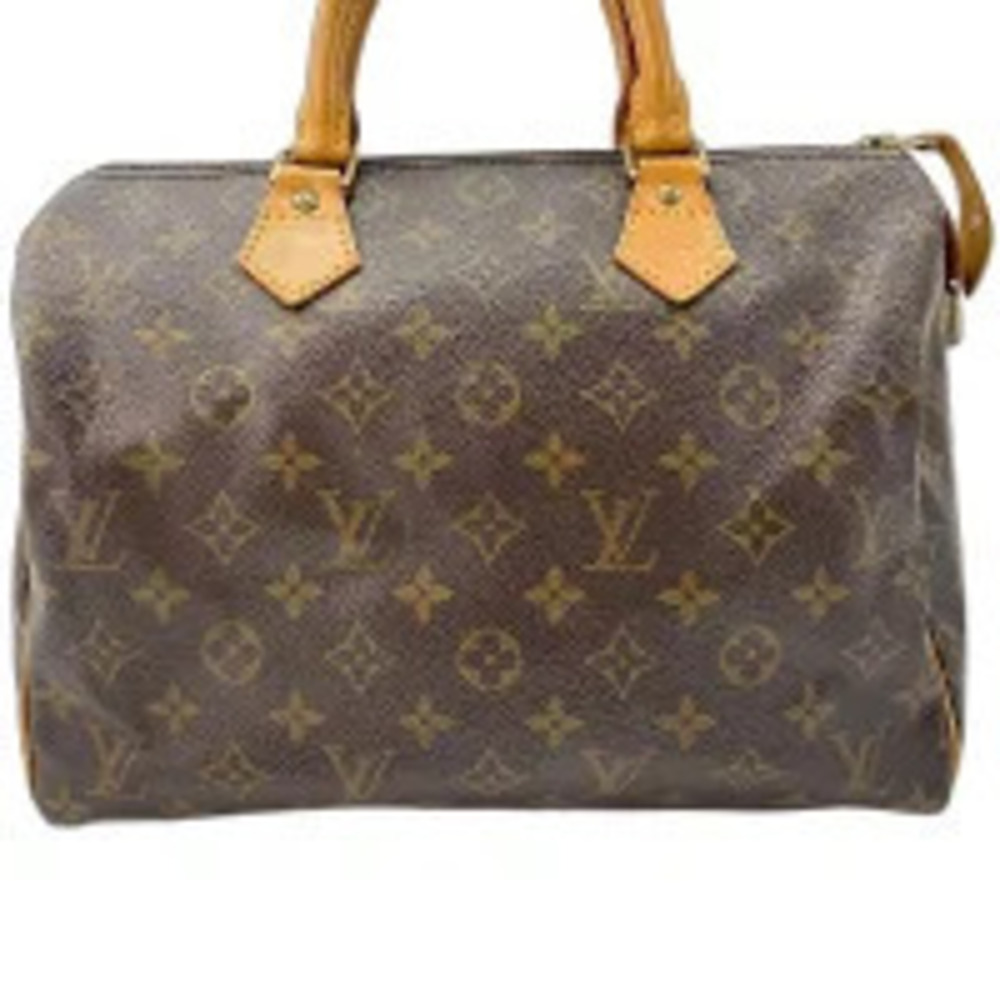 Louis Vuitton Speedy Handbag Brown